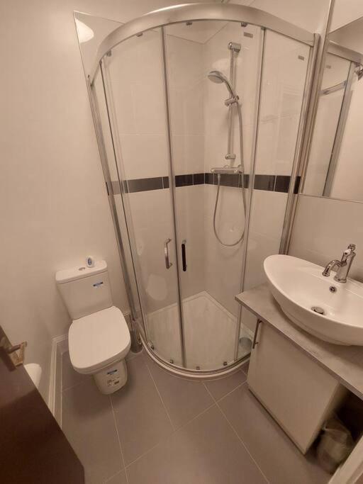 Newly Refurbished Studio London Exteriör bild